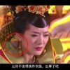 澳门开奖结果+开奖记录表生肖助手